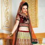 Hot Indian Natasha Anarkali Suits and Blouse Neck Designs Collection 2013 (4)
