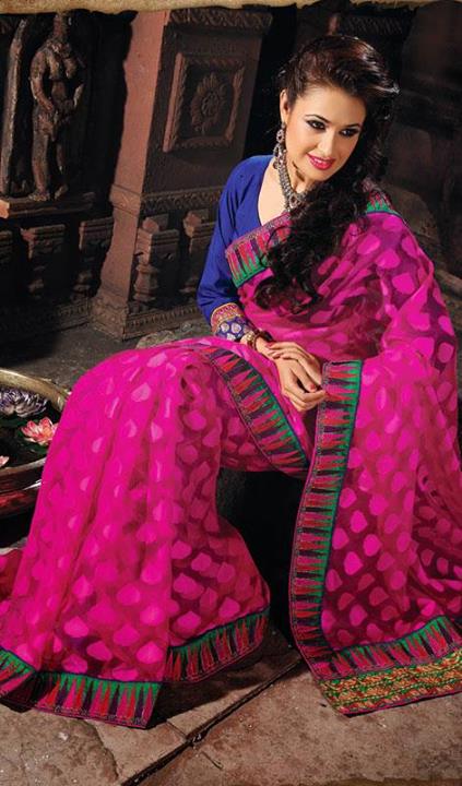 Kaneesha Fancy Sarees Collection 2013-14 For Women (3)