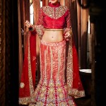 Best collection of Latest Saree & Lehenga (Lehnga) With Blouse Dresses 2015-2016 for girl (2)