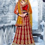 Best collection of Latest Saree & Lehenga (Lehnga) With Blouse Dresses 2015-2016 for girl (2)